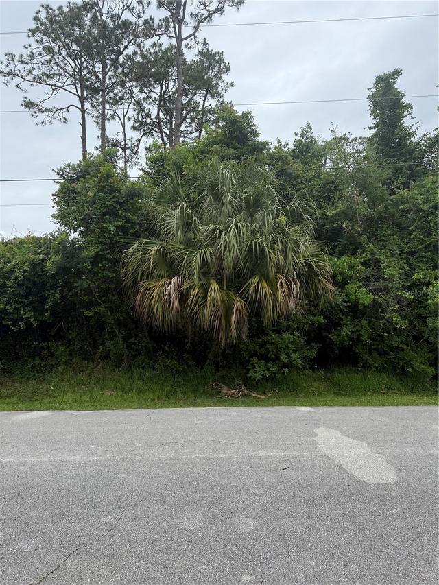 38 Squash Blossom Tr., Palm Coast, FL 32164