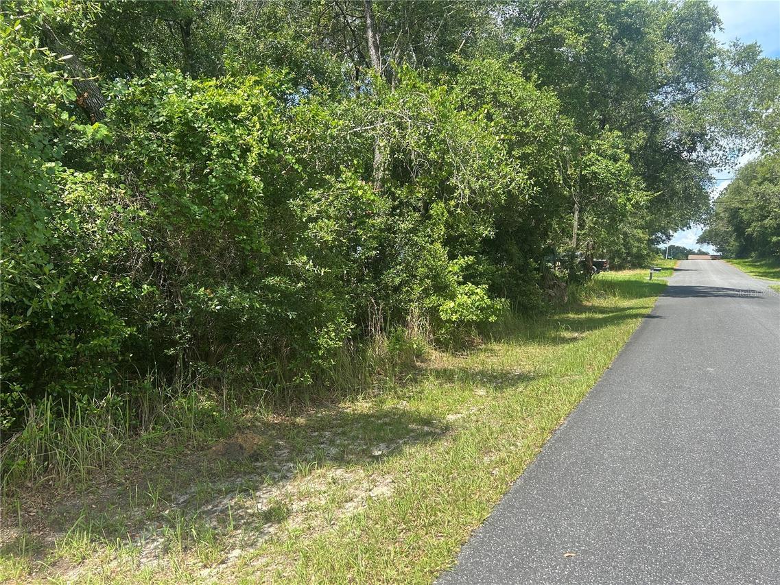3118 E Deal St., Inverness, FL 34453