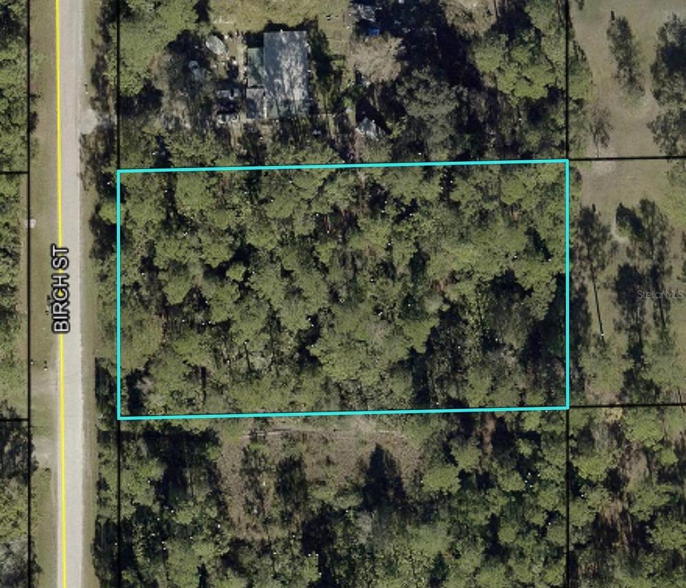 1115 Birch St., Bunnell, FL 32110
