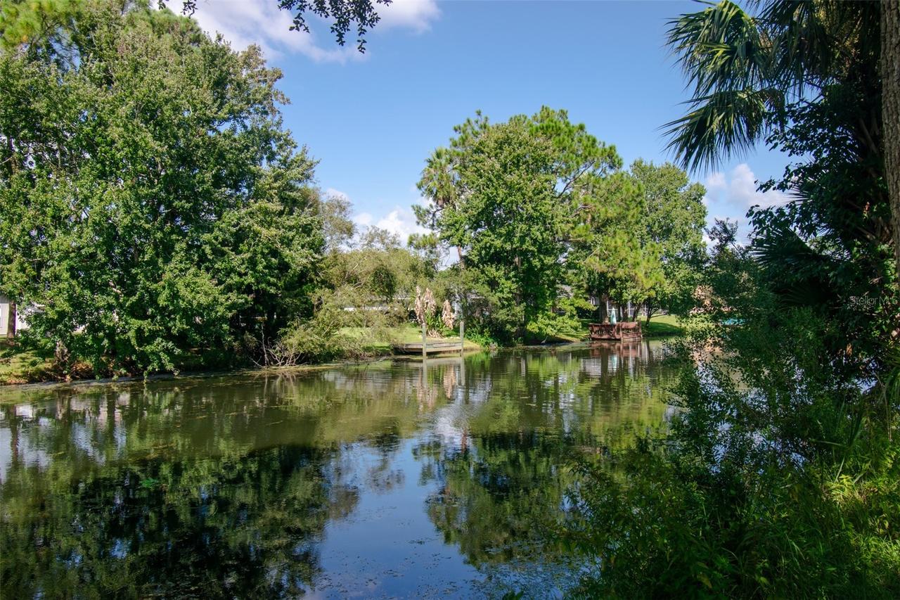 225 Birchwood Dr., Palm Coast, FL 32137