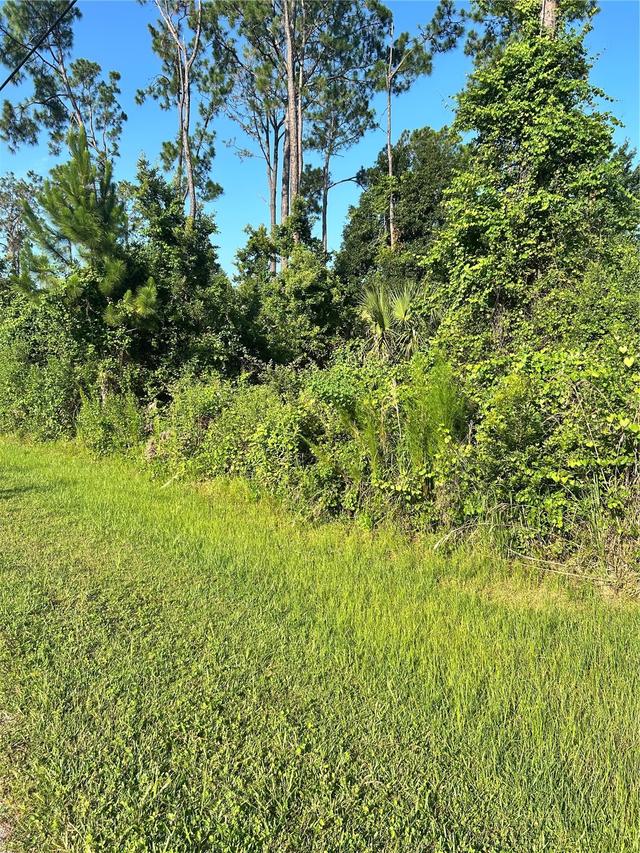 6 Ryberry Dr., Palm Coast, FL 32164