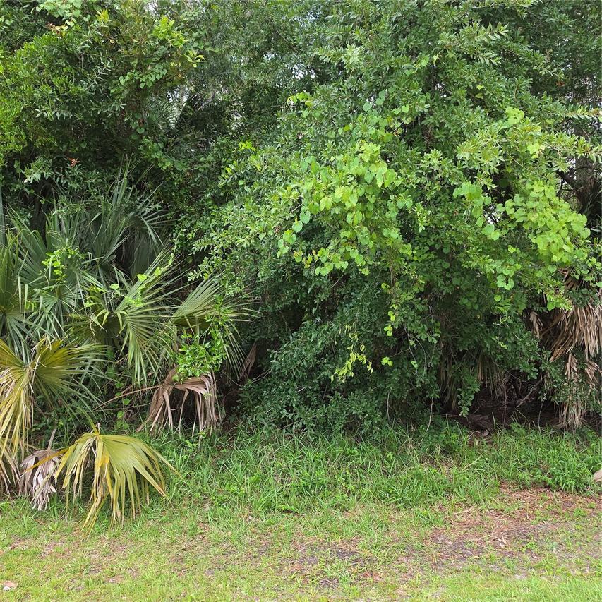 19 Wasserman Dr., Palm Coast, FL 32164