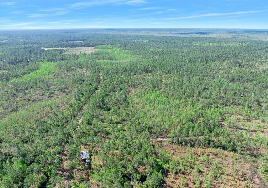 Carter St., Bunnell, FL 32110