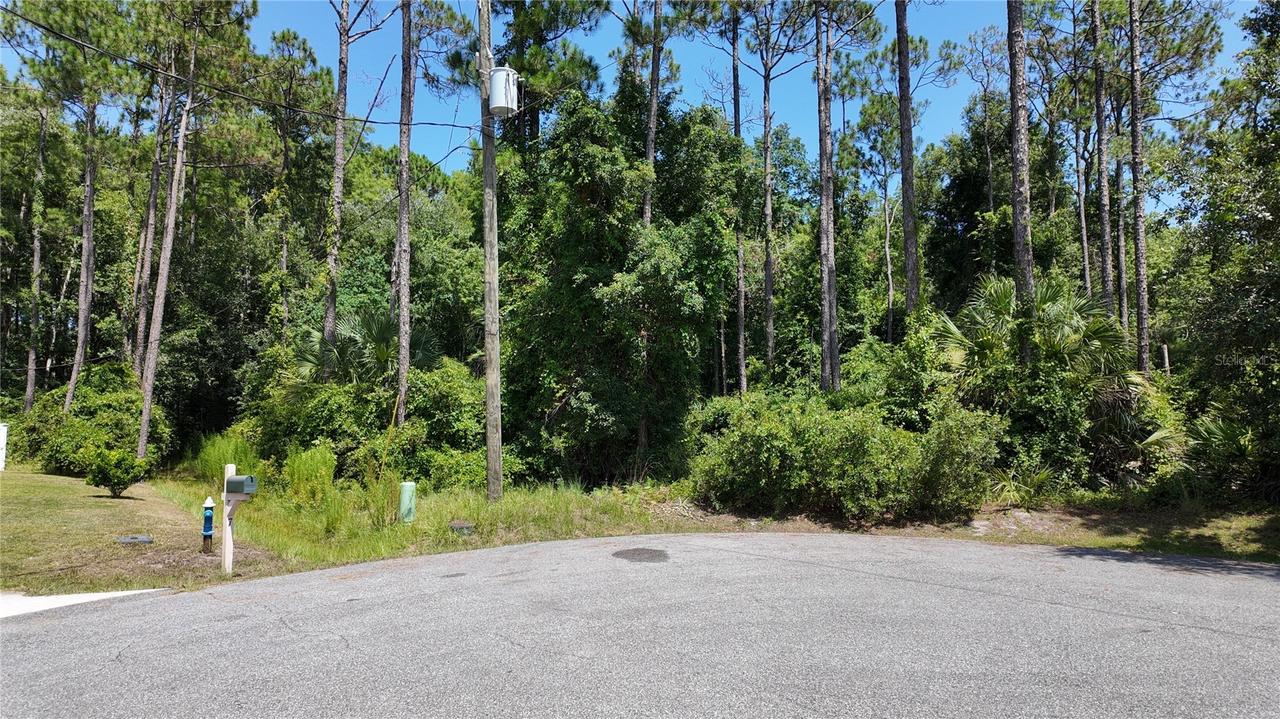 8 Zaftig Ct., Palm Coast, FL 32164