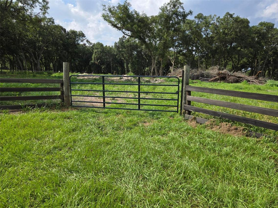 890 Grand Rondo, Crescent City, FL 32112