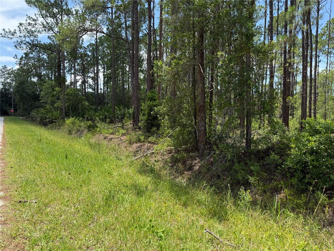 2914 Avocado Blvd., Bunnell, FL 32110