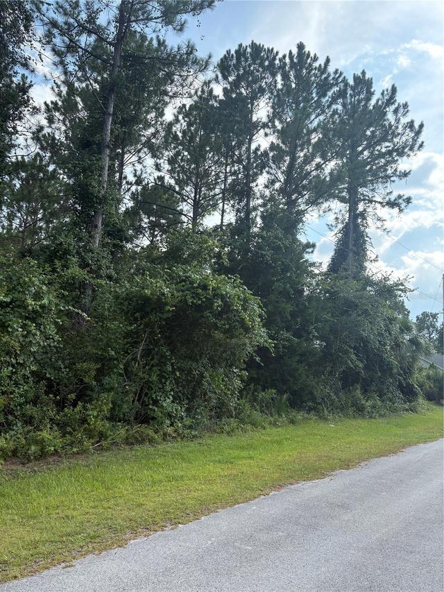 17 Uhlerwood Ct., Palm Coast, FL 32164