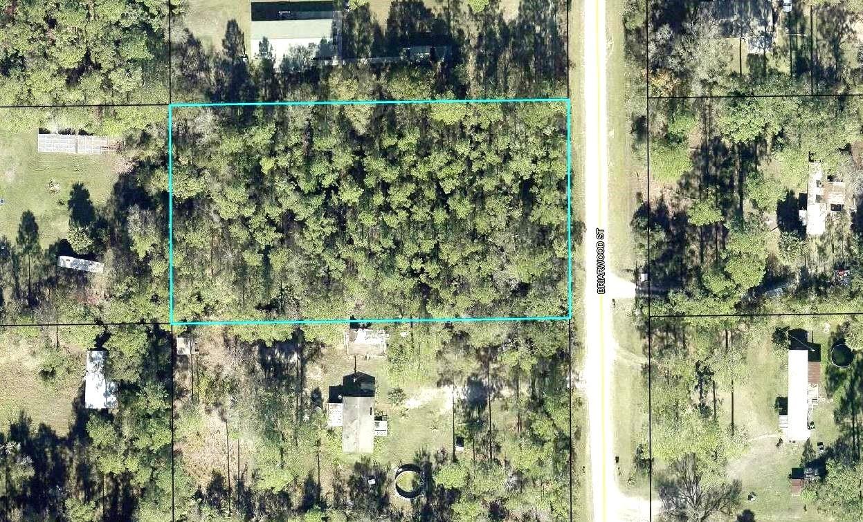 2828 Briarwood St., Bunnell, FL 32110
