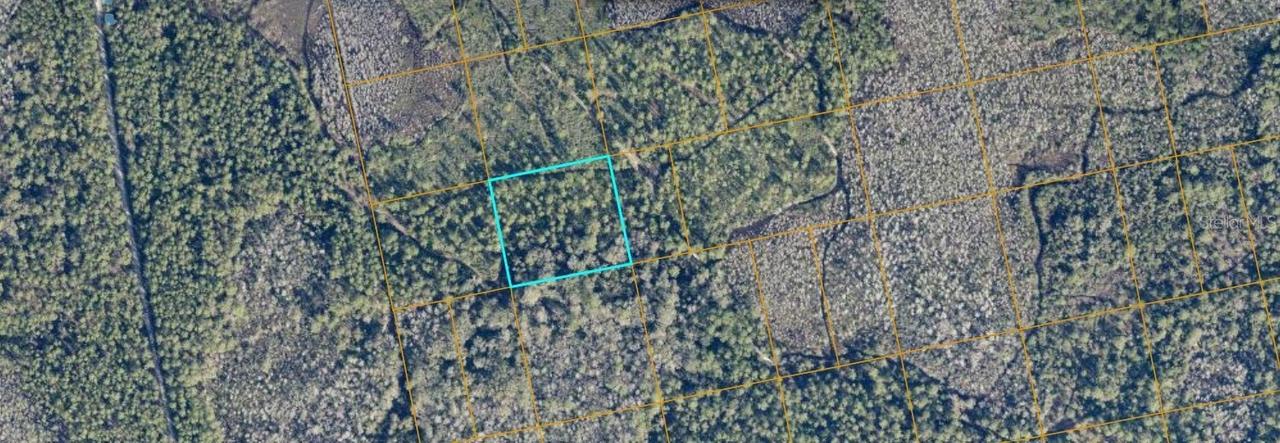 Unimproved, Oak Hill, FL 32759