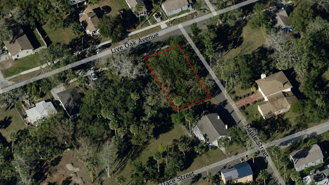 547 Live Oak Ave., Daytona Beach, FL 32114