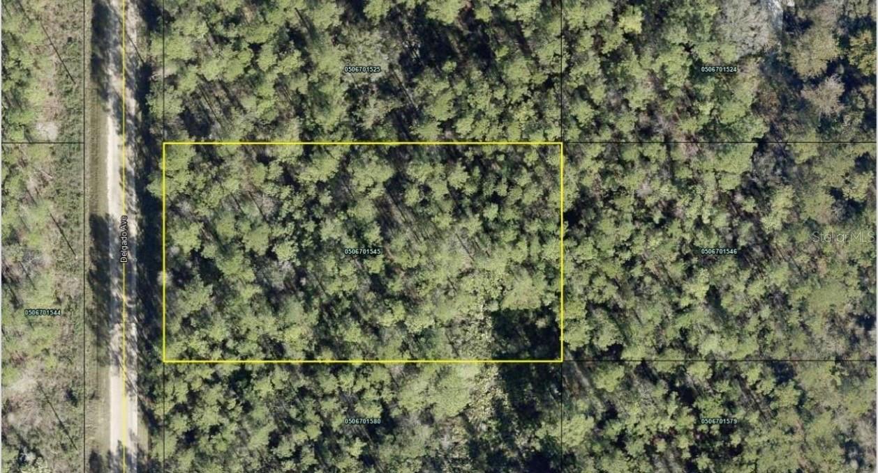10620 Delgado Ave., Hastings, FL 32145