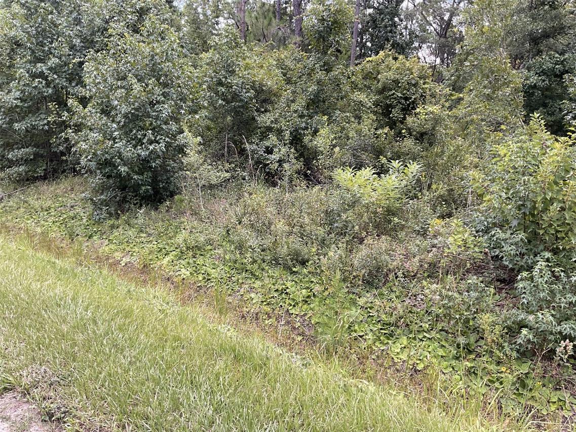 10210 Vaughan Ave., Hastings, FL 32145