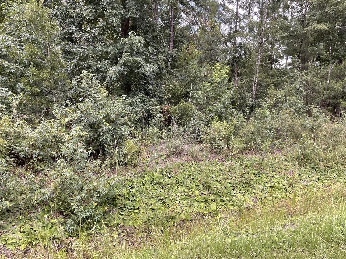4940 Kenneth St., Hastings, FL 32145