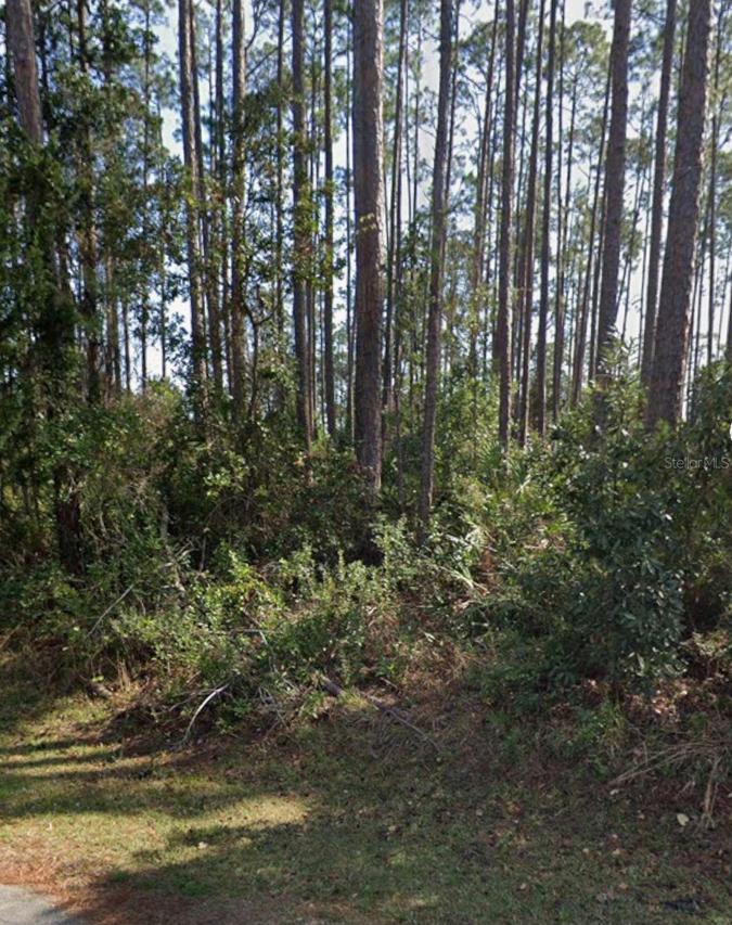 21 Erickson Pl., Palm Coast, FL 32164