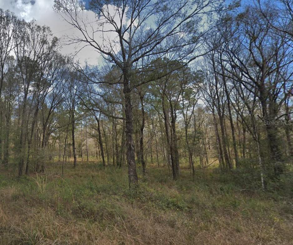 10300 Stycket Ave., Hastings, FL 32145