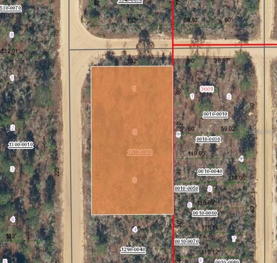 XX Orchid Ave, Interlachen, FL 32148