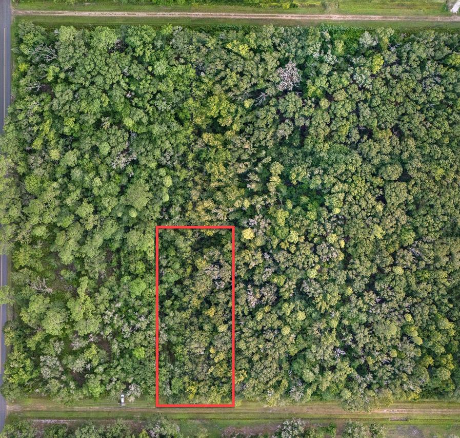 4725 Alvin St., Hastings, FL 32145