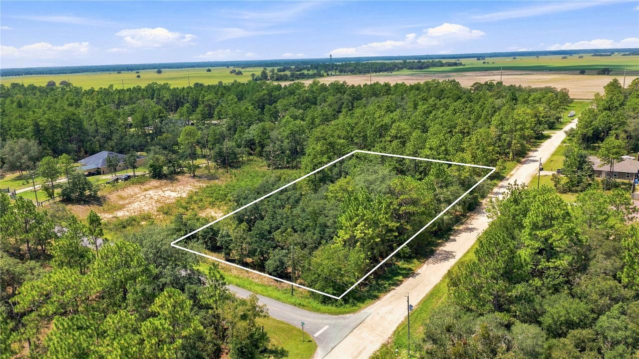 Lot 14 Sw 81 St. & Sw 137th Ct., Dunnellon, FL 34432