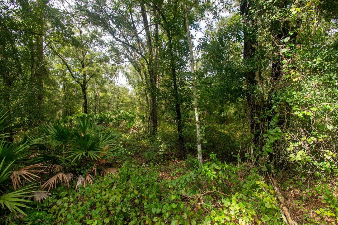 4730 Palatka Blvd., Hastings, FL 32145