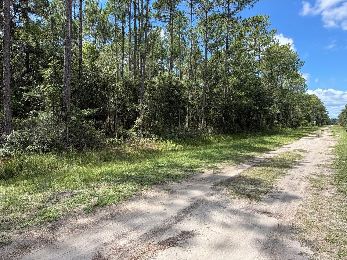 4265 Gladys St., Hastings, FL 32145