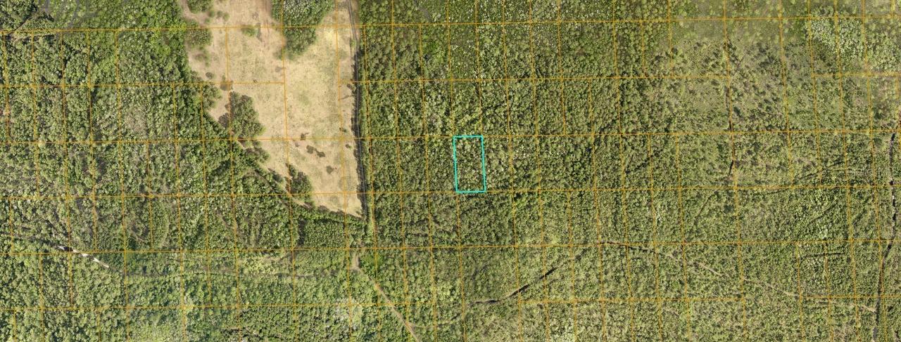 No Street, Deland, FL 32724