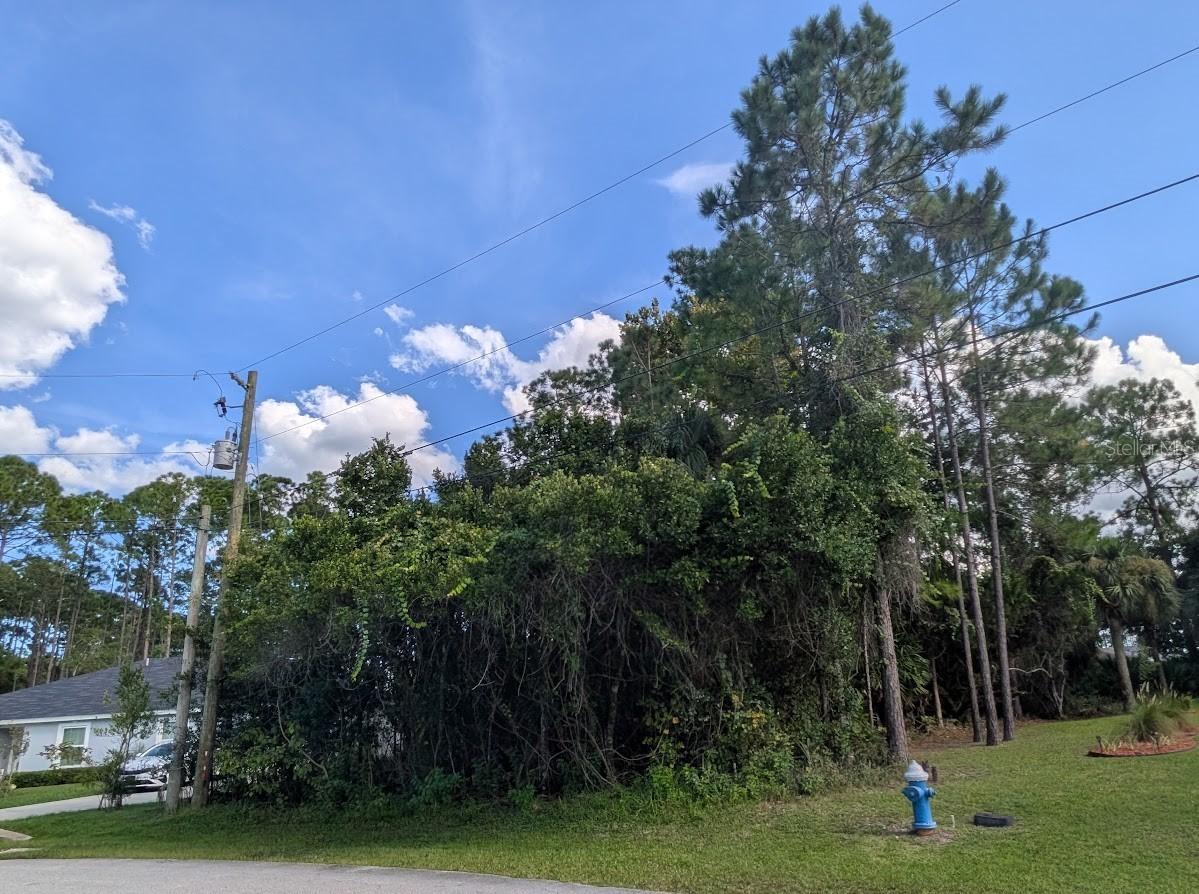7 Seckel Ct, Palm Coast, FL 32164