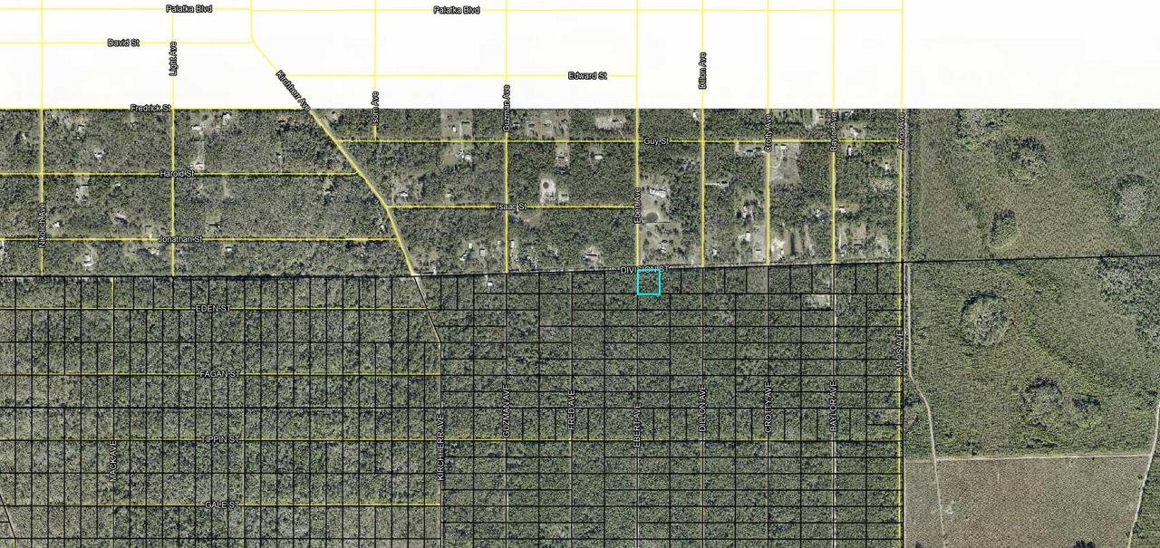 XXX Division St., Hastings, FL 32145