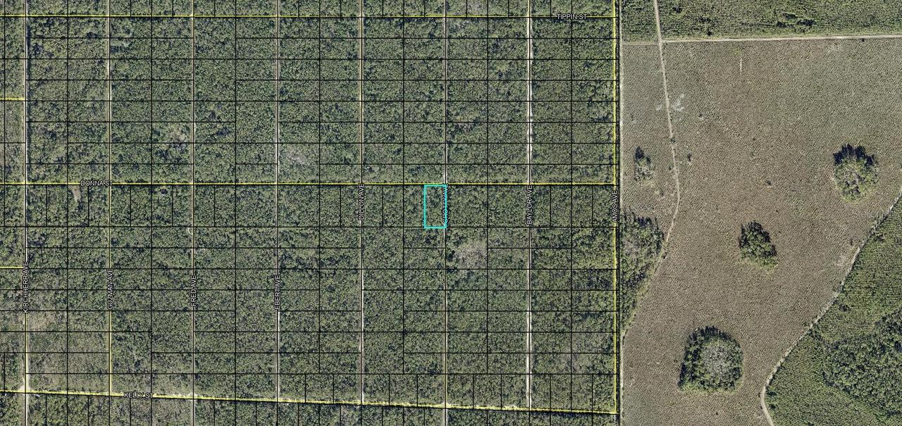 XXX Donna St., Hastings, FL 32145