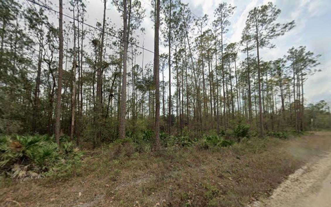 Glisson St., Interlachen, FL 32148