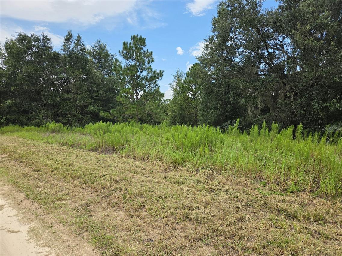 0 Sw 144th Court, Ocala, FL 34481
