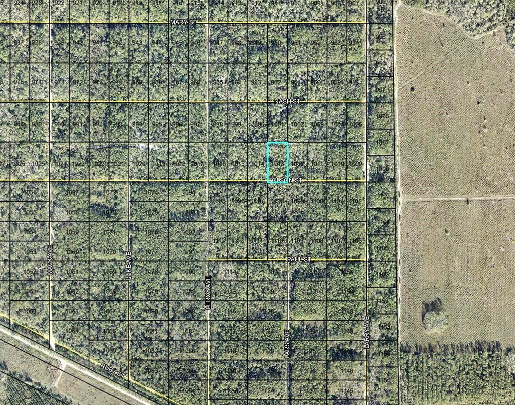 LT 1013 Olson St., Hastings, FL 32145