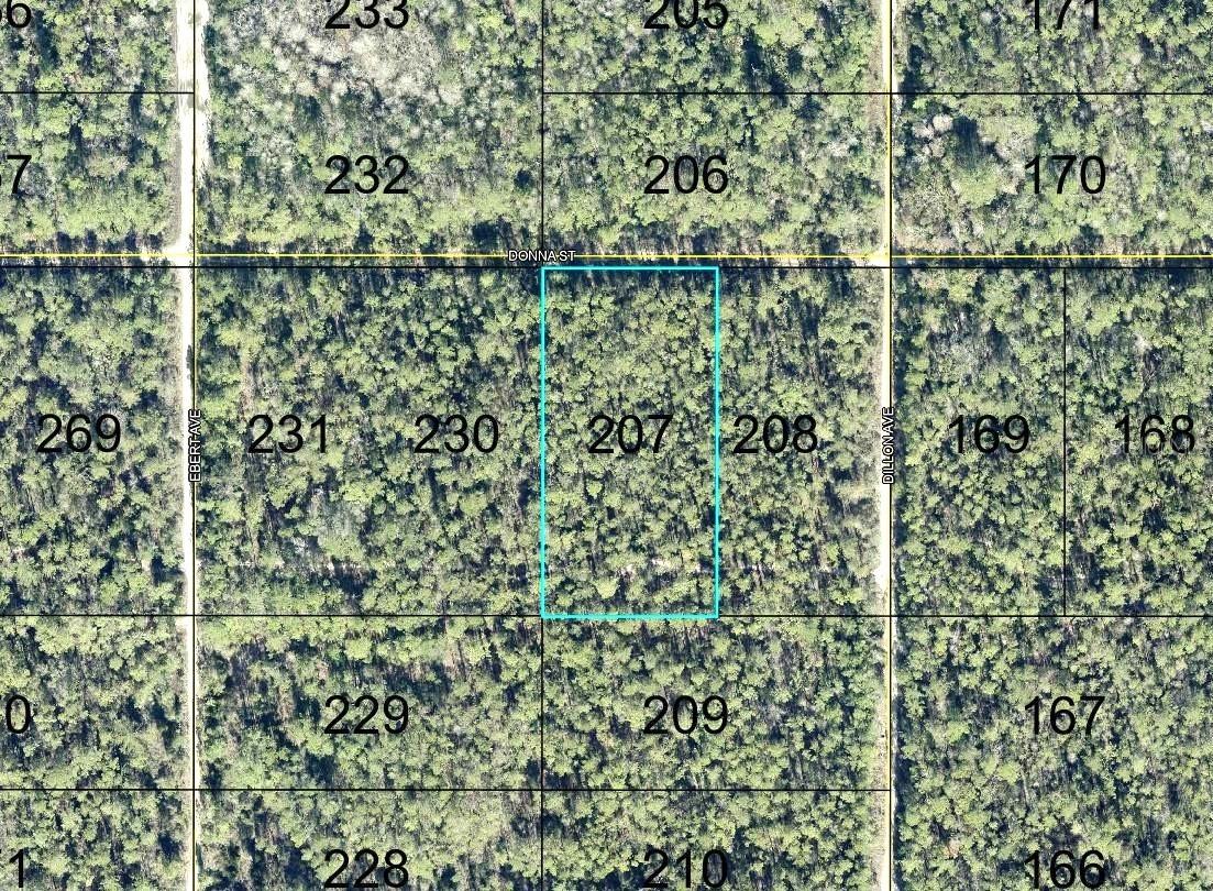207 Donna St., Hastings, FL 32145