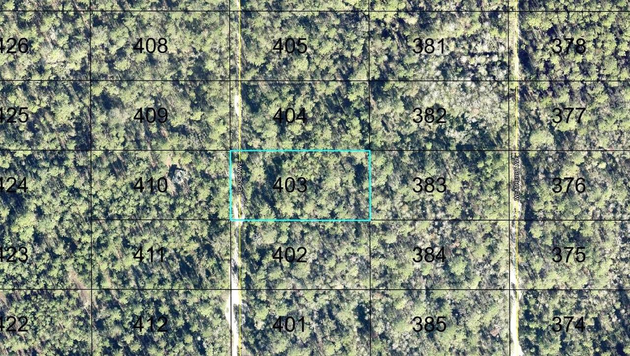 403 Yeager Ave., Hastings, FL 32145