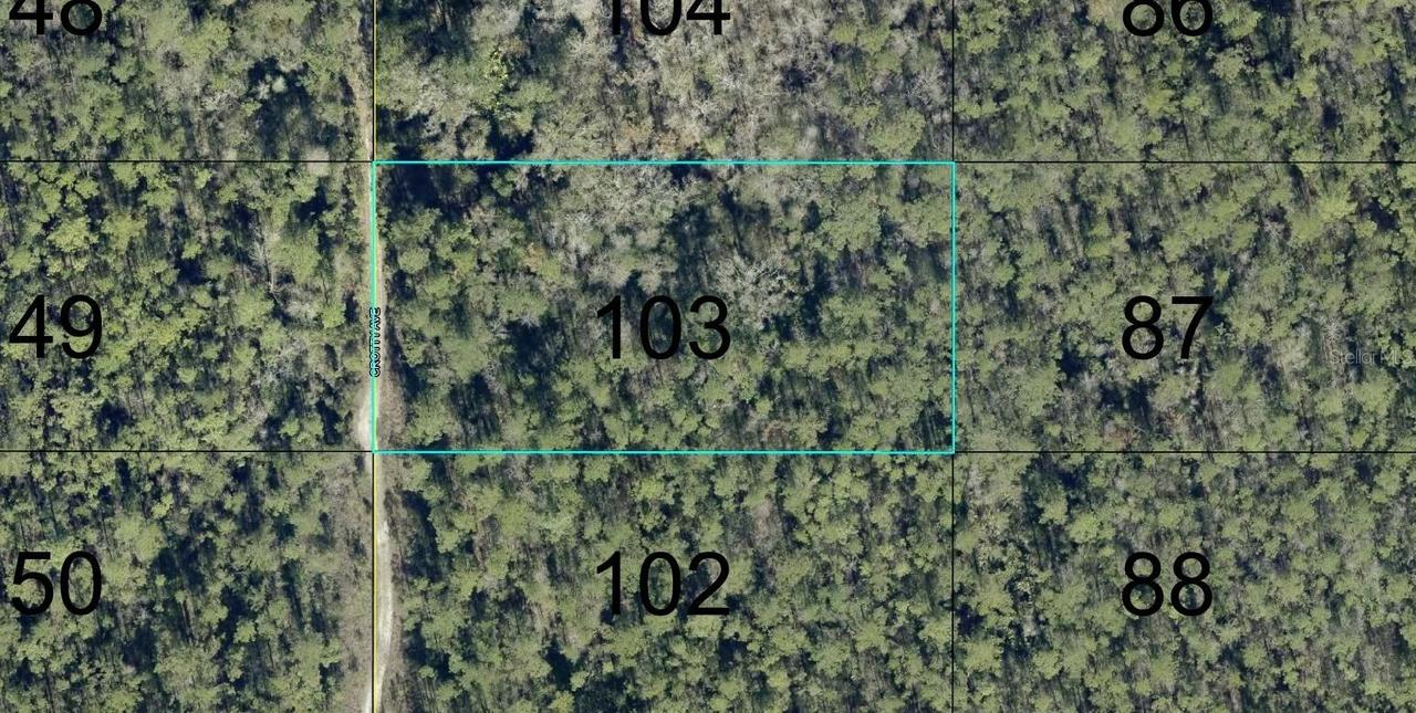 103 Crotty St., Hastings, FL 32145