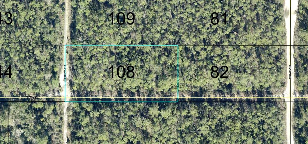 108 Crotty St., Hastings, FL 32145