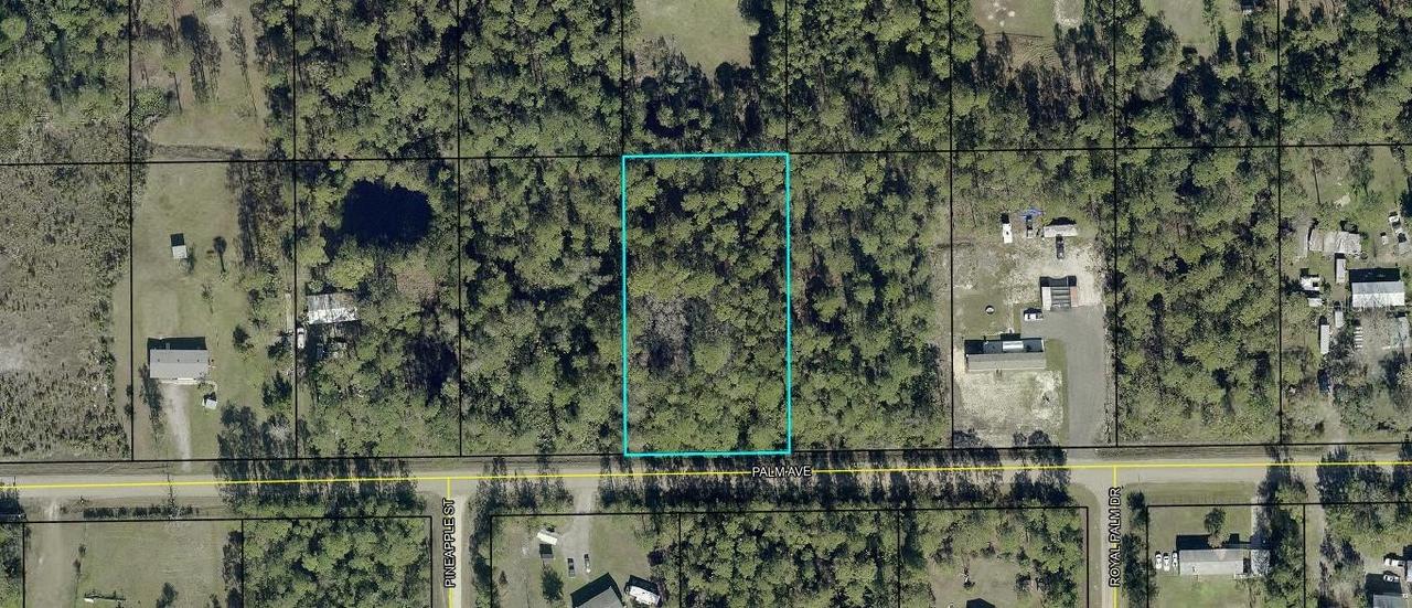 5794 Palm Ave., Bunnell, FL 32110