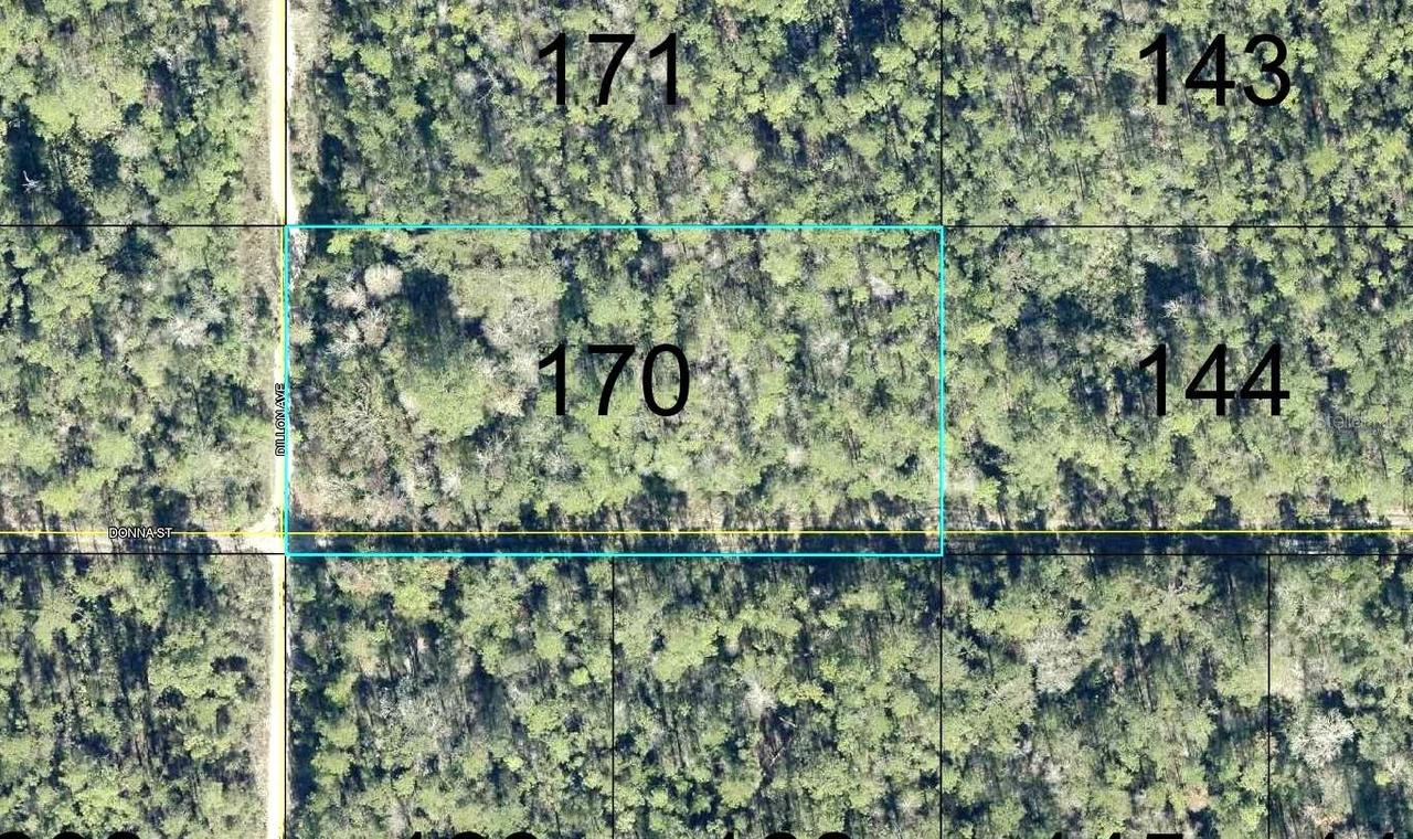 170 Dilllion Ave., Hastings, FL 32145