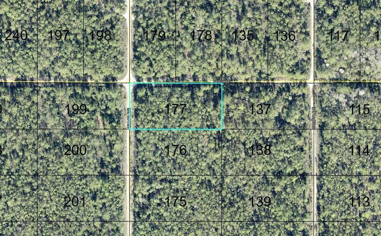 177 Dillion Ave., Hastings, FL 32145