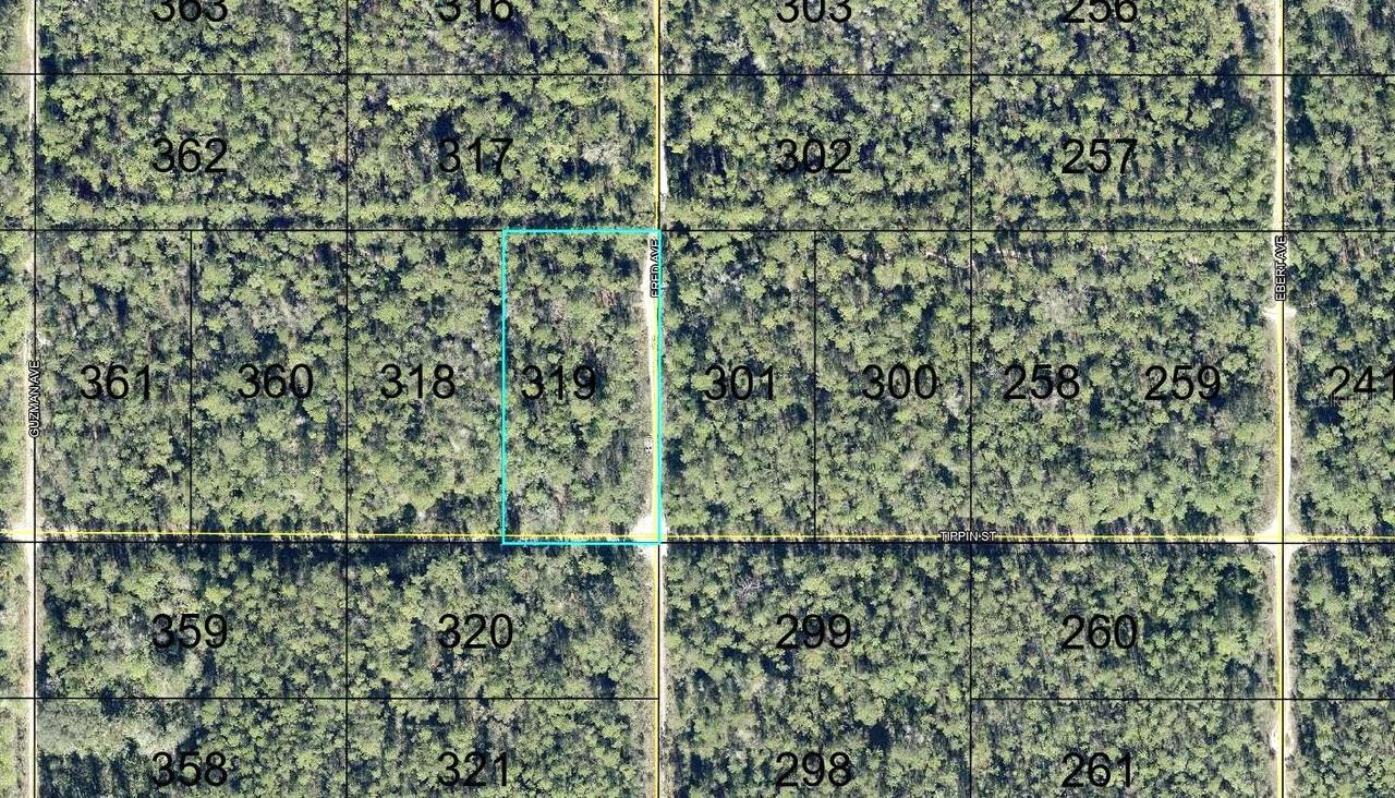 319 Tippin St., Hastings, FL 32145