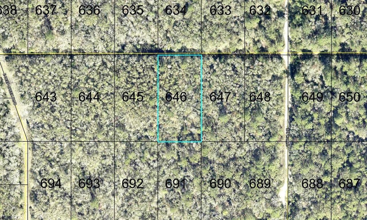 646 Gale St., Hastings, FL 32145