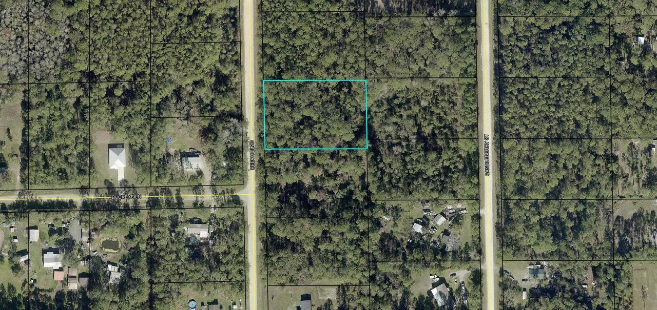 1689 Beech Blvd., Bunnell, FL 32110