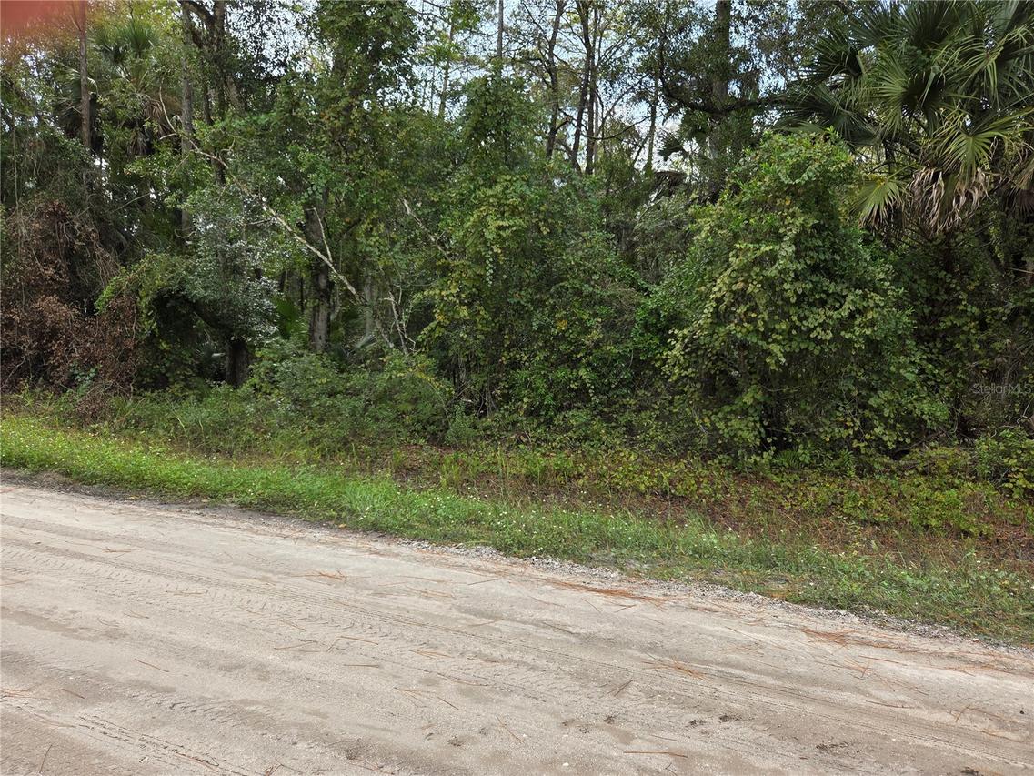 2096 Orange St., Bunnell, FL 32110