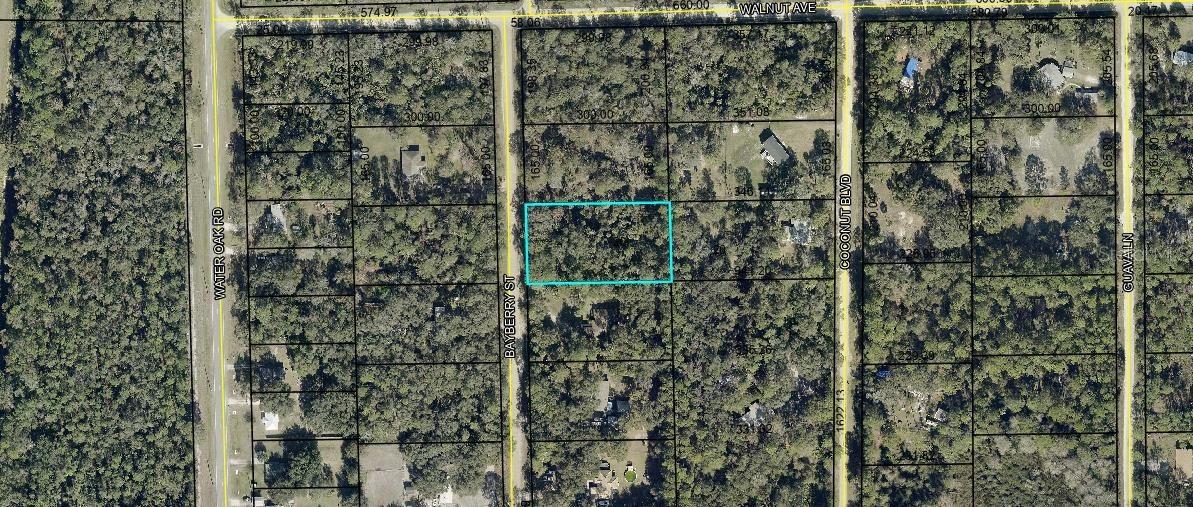2107 Bayberry St., Bunnell, FL 32110