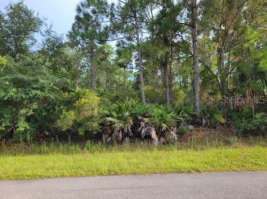 101 Mimosa St., Georgetown, FL 32139