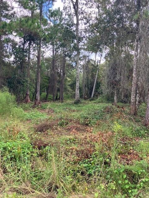 1881 Hazelnut St., Bunnell, FL 32110