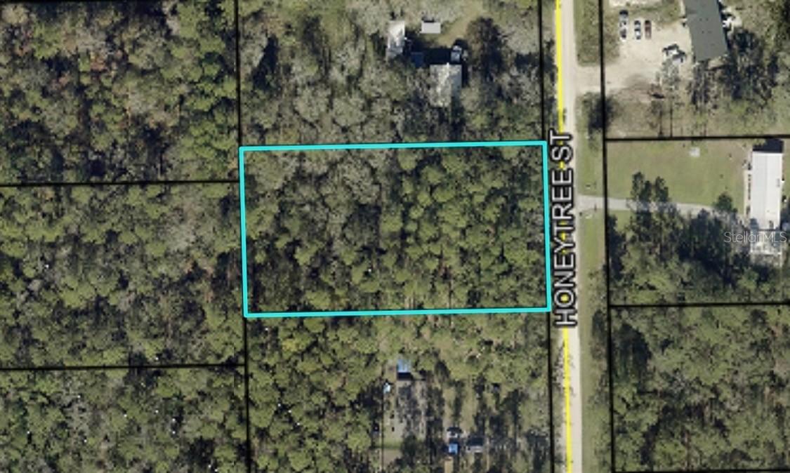 1292 Honeytree St., Bunnell, FL 32110