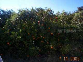 Lake Emma Rd., Groveland, FL 34736