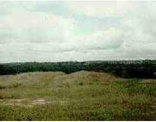 Leggett Lane Ln., Lady Lake, FL 32159