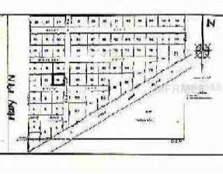 Armadillo & Snipe, Altoona, FL 32702