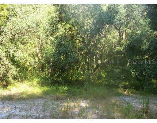 Cr 683, Webster, FL 33597